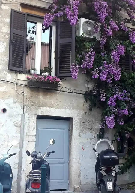 rovinj1